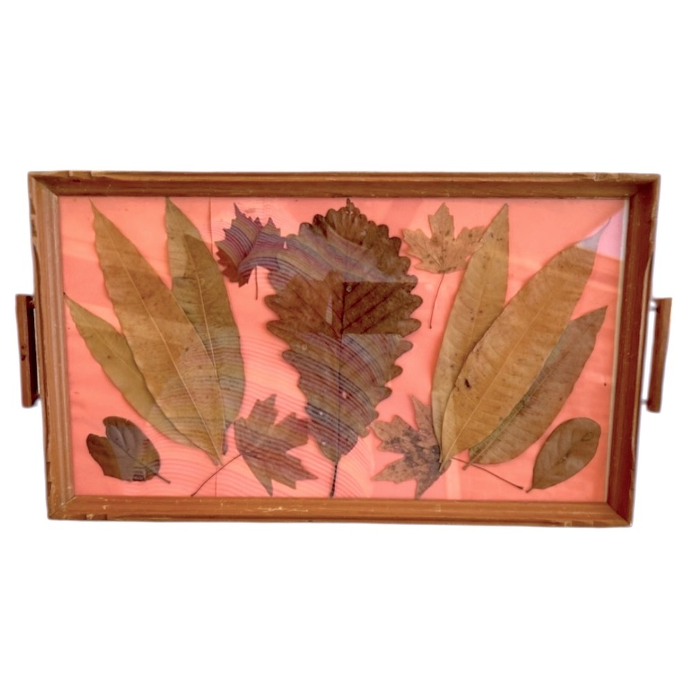 Vintage Interchangeable Display Wood Tray For Decor or  Keepsakes 21 inches wide